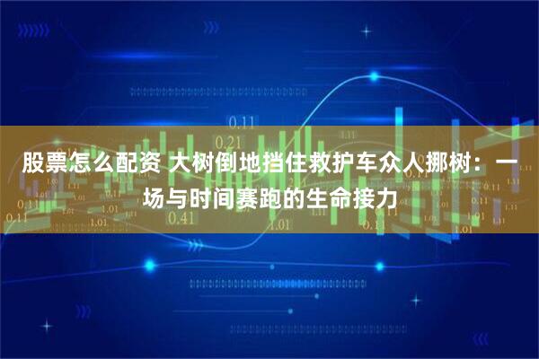 股票怎么配资 大树倒地挡住救护车众人挪树：一场与时间赛跑的生命接力