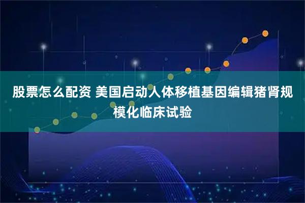 股票怎么配资 美国启动人体移植基因编辑猪肾规模化临床试验